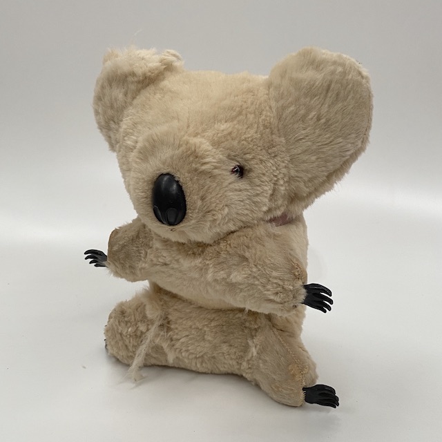 SOFT TOY, Koala